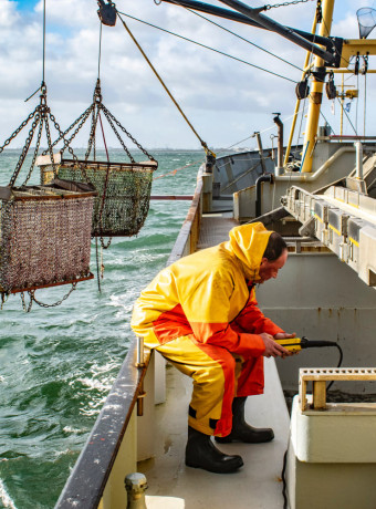 Fishing Banner